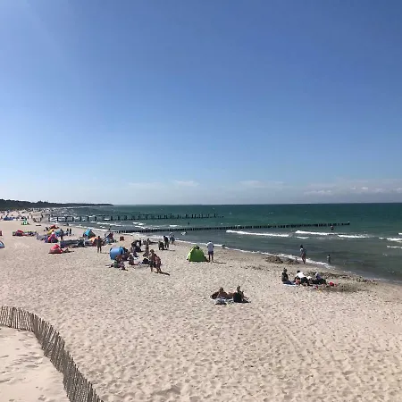 Strandgut *